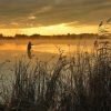 Великое племя рыболовов. Можно смело сказать,