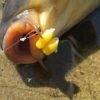 Учитывайте прозрачность воды и степень